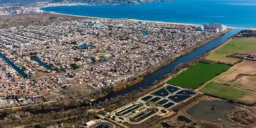 Çakal, Yılanla Görüntülendi