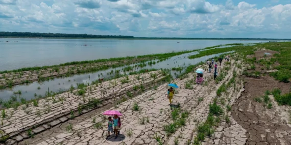 El Niño tarımı vurdu: Yeni sezonda risk büyüyor