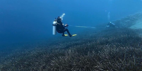 Kaş-Kekova’nın deniz çayırları mercek altında