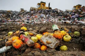 foodwaste