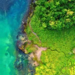 oecd-cbd-cop17-shutterstock-2222861623