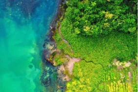 oecd-cbd-cop17-shutterstock-2222861623